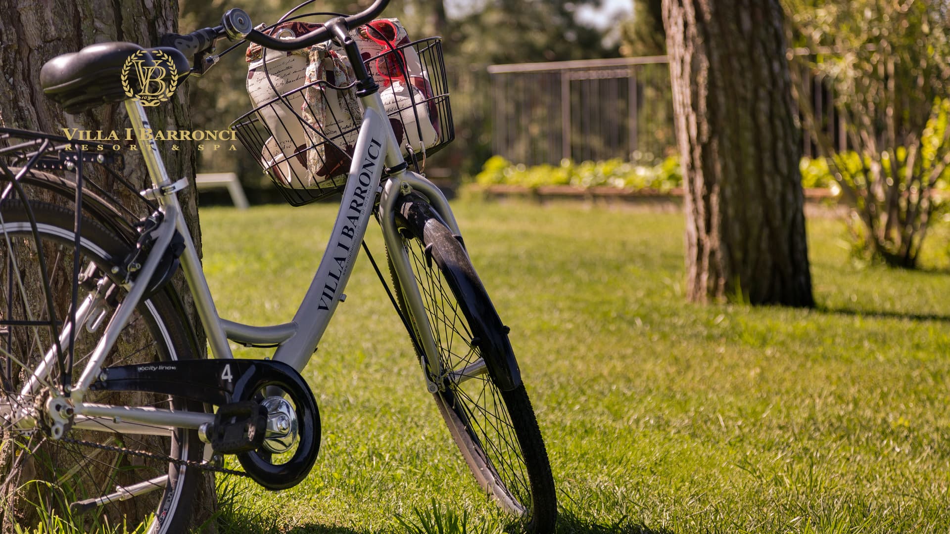 Bicycle appoggiata a un albero verde, nel giardino della villa, circondata da natura e tranquillità toscana.